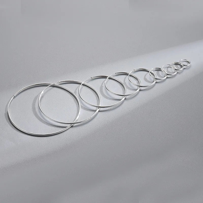 Different Sizes Choice Gold Silver 925 Earrings Hoop Silver Hoop Earrings 925 Sterling 925 Silver Earrings As Gift NS94014
