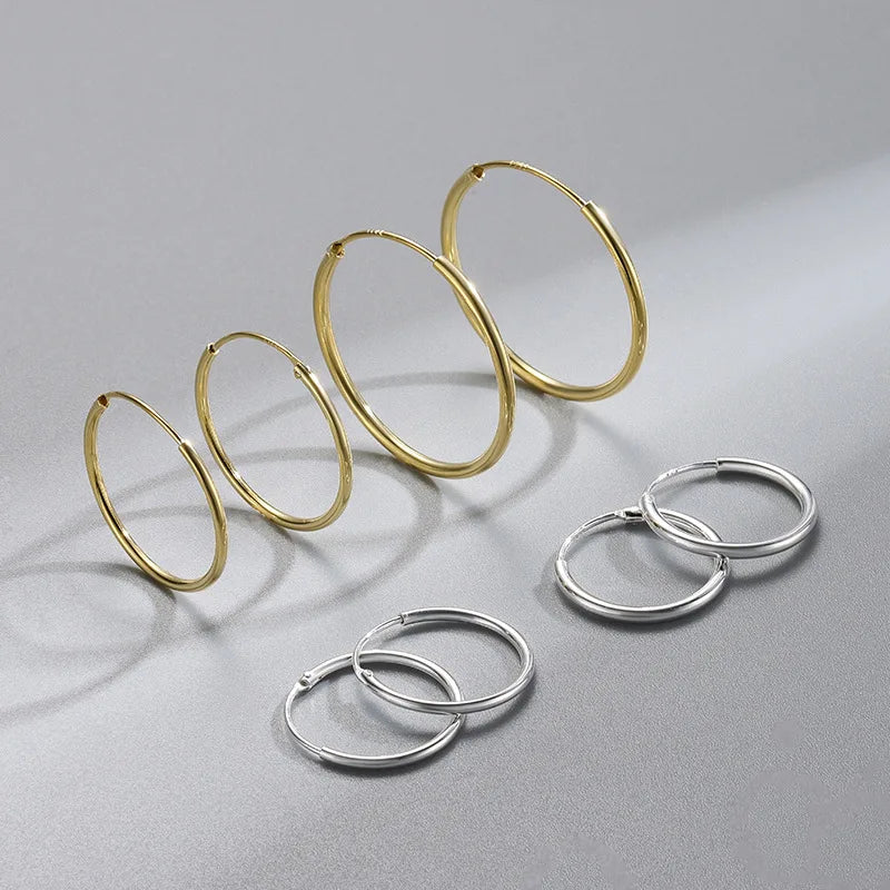 Different Sizes Choice Gold Silver 925 Earrings Hoop Silver Hoop Earrings 925 Sterling 925 Silver Earrings As Gift NS94014