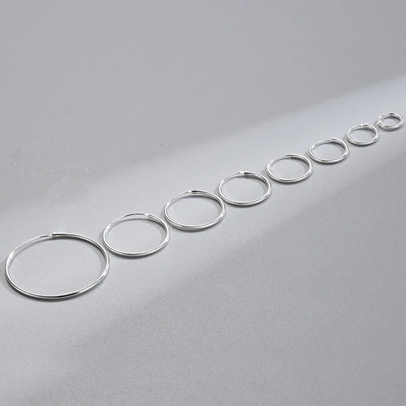 Different Sizes Choice Gold Silver 925 Earrings Hoop Silver Hoop Earrings 925 Sterling 925 Silver Earrings As Gift NS94014
