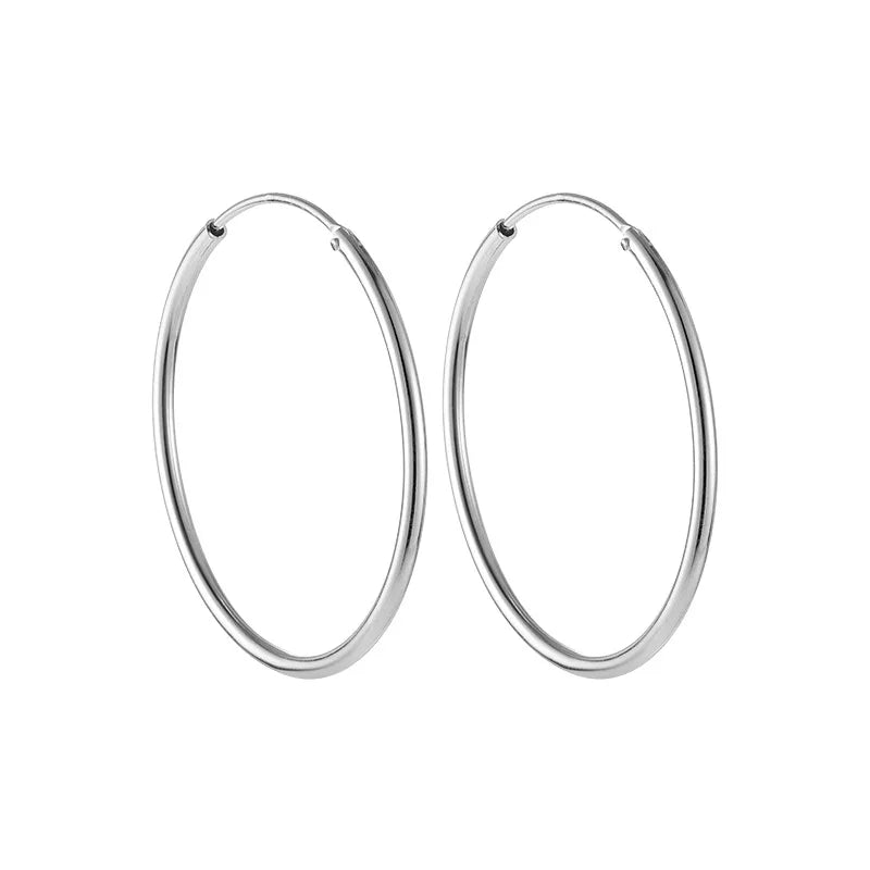Different Sizes Choice Gold Silver 925 Earrings Hoop Silver Hoop Earrings 925 Sterling 925 Silver Earrings As Gift NS94014