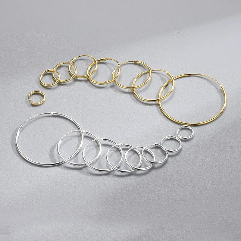 Different Sizes Choice Gold Silver 925 Earrings Hoop Silver Hoop Earrings 925 Sterling 925 Silver Earrings As Gift NS94014