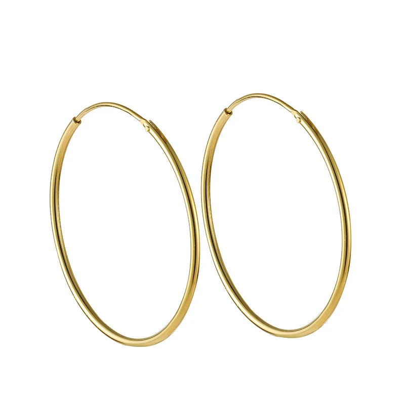 Different Sizes Choice Gold Silver 925 Earrings Hoop Silver Hoop Earrings 925 Sterling 925 Silver Earrings As Gift NS94014